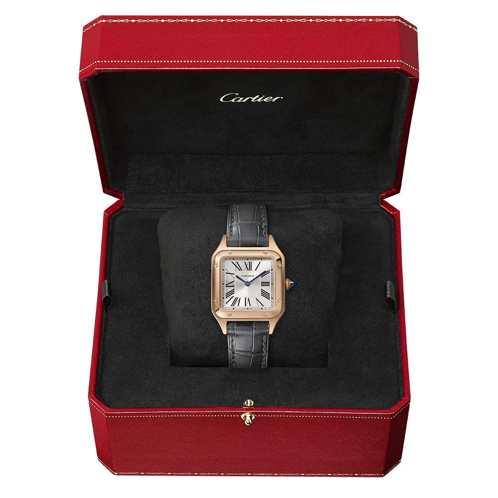 Cartier Santos-Dumont WGSA0022