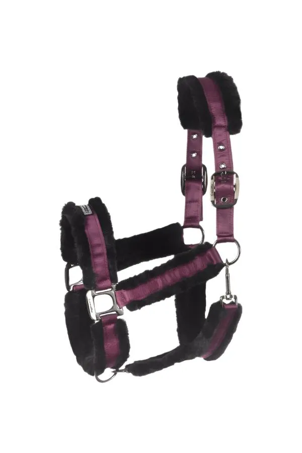 Cavallo Juno Headcollar