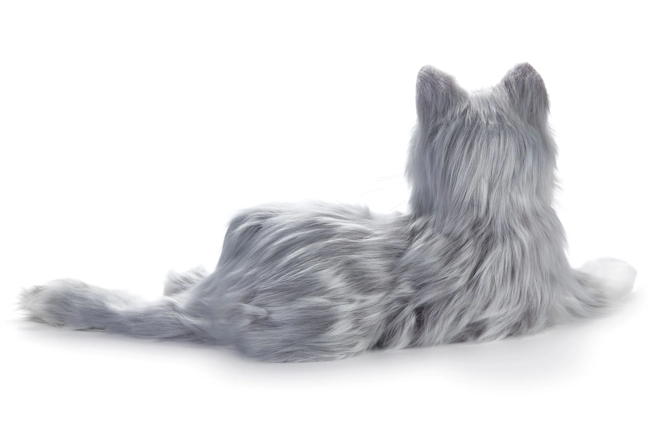 Silver tabby cat robotic companion pet