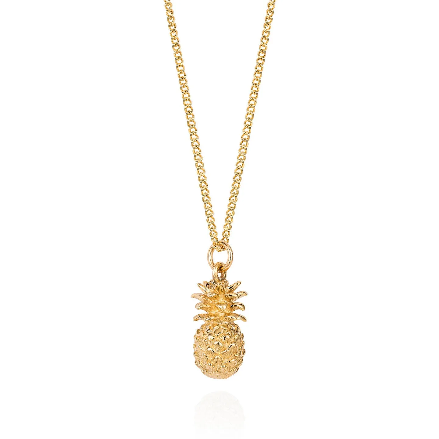 Solid Gold Pineapple by Joy Everley